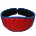 Weight Lifting belt BR